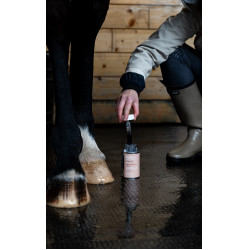 Huile Alodis Care Fourchette Clean