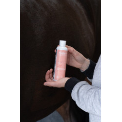 Huile de massage Alodis Care Digest Recup