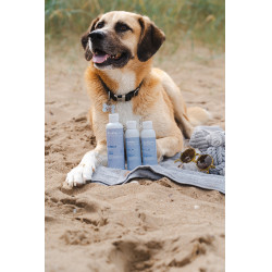 Shampoing Alodis Care Cani Soap pour chien Shampoing Alodis Care Cani Soap pour chien