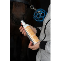 Spray assainissant Alodis Care Top Clean