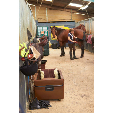 Malle Roulante pour Trotteurs La Gée Malle Roulante pour Trotteurs La Gée