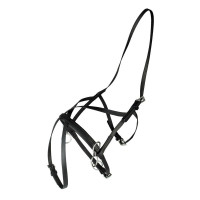 Petit Licol nylon de course...