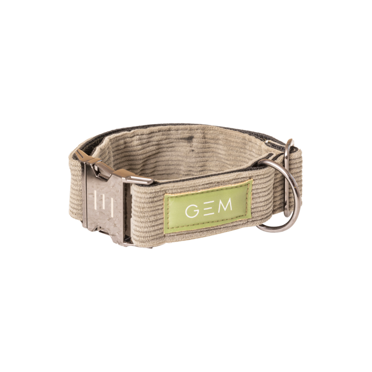 Collier GEM chien Collier GEM chien