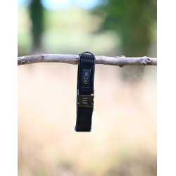Collier GEM chien Noir