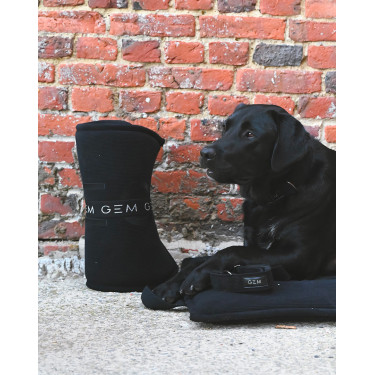 Collier GEM chien Noir Collier GEM chien Noir