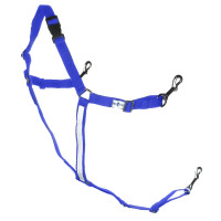 Bricole américaine synthétique poney Finn-Tack Pro Bleu / blanc Bricole américaine synthétique poney Finn-Tack Pro Bleu / blanc