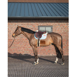 Tapis GEM Leo obstacle Bleu ciel Tapis GEM Leo obstacle Bleu ciel