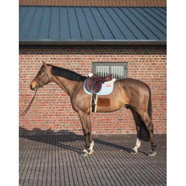 Tapis GEM Leo obstacle Tapis GEM Leo obstacle
