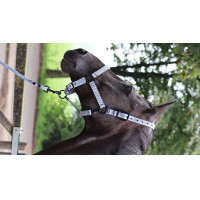 Longe d'attache Lami-Cell Midnight Bleu ardoise