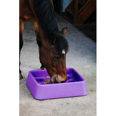 Mangeoire anti-glouton Hippotonic Mangeoire anti-glouton Hippotonic