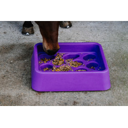 Mangeoire anti-glouton Hippotonic Violet Mangeoire anti-glouton Hippotonic Violet