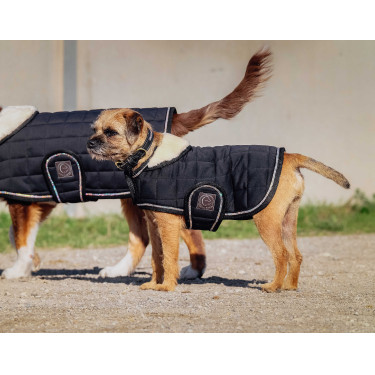 Couverture pour chien Je t'aime Equithème Couverture pour chien Je t'aime Equithème