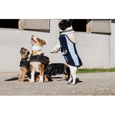 Couverture pour chien Je t'aime Equithème Couverture pour chien Je t'aime Equithème