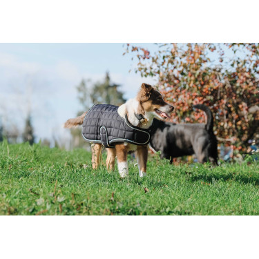 Couverture pour chien Je t'aime Equithème Couverture pour chien Je t'aime Equithème