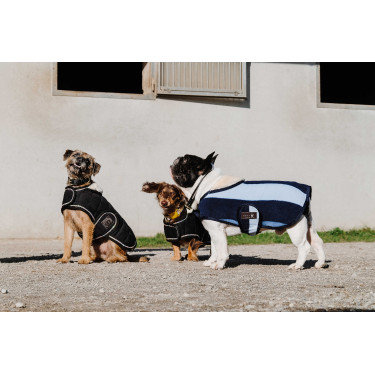 Couverture pour chien Je t'aime Equithème Couverture pour chien Je t'aime Equithème