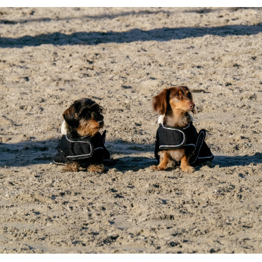 Couverture pour chien Je t'aime Equithème Couverture pour chien Je t'aime Equithème