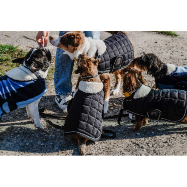 Couverture pour chien Je t'aime Equithème Couverture pour chien Je t'aime Equithème