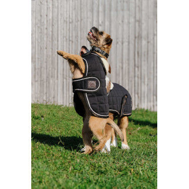 Couverture pour chien Je t'aime Equithème Couverture pour chien Je t'aime Equithème