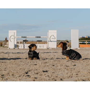Couverture pour chien Je t'aime Equithème Couverture pour chien Je t'aime Equithème