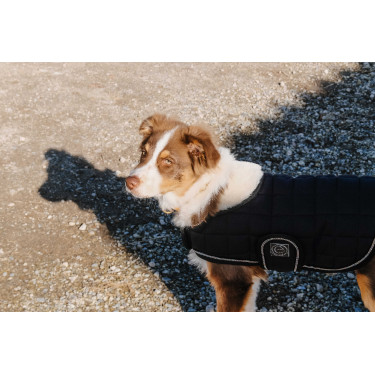 Couverture pour chien Je t'aime Equithème Couverture pour chien Je t'aime Equithème