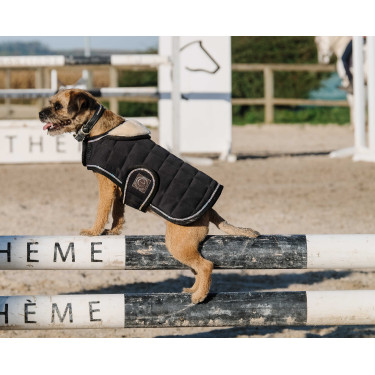 Couverture pour chien Je t'aime Equithème Couverture pour chien Je t'aime Equithème