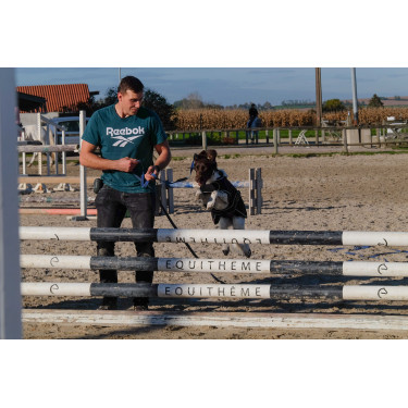 Couverture pour chien Je t'aime Equithème Couverture pour chien Je t'aime Equithème