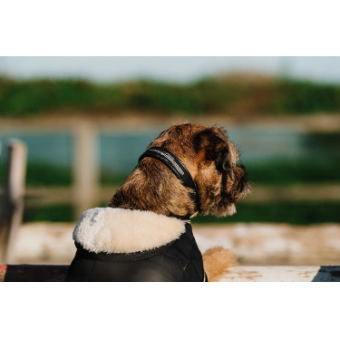 Couverture pour chien Je t'aime Equithème Couverture pour chien Je t'aime Equithème