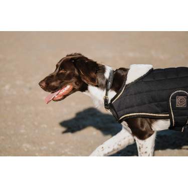 Couverture pour chien Je t'aime Equithème Couverture pour chien Je t'aime Equithème