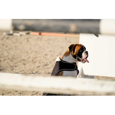 Couverture pour chien Je t'aime Equithème Couverture pour chien Je t'aime Equithème