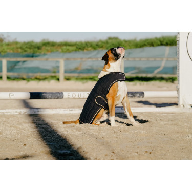 Couverture pour chien Je t'aime Equithème Couverture pour chien Je t'aime Equithème