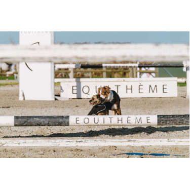 Couverture pour chien Je t'aime Equithème Couverture pour chien Je t'aime Equithème