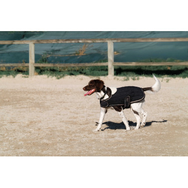 Couverture pour chien Je t'aime Equithème Couverture pour chien Je t'aime Equithème