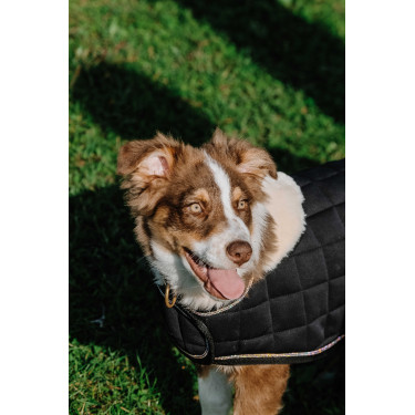 Couverture pour chien Je t'aime Equithème Couverture pour chien Je t'aime Equithème