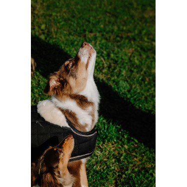 Couverture pour chien Je t'aime Equithème Couverture pour chien Je t'aime Equithème