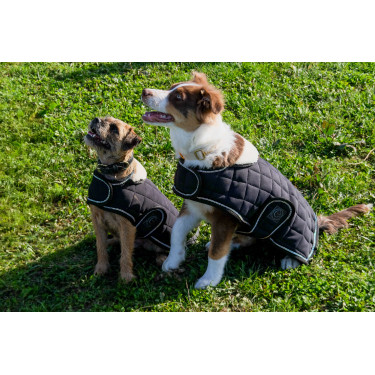 Couverture pour chien Je t'aime Equithème Couverture pour chien Je t'aime Equithème