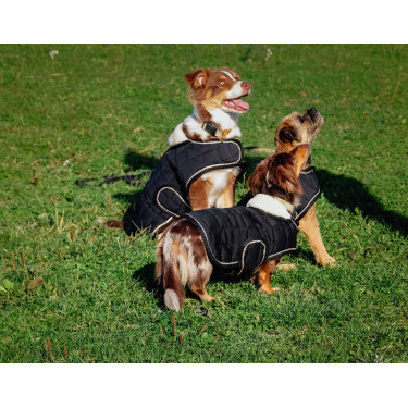 Couverture pour chien Je t'aime Equithème Couverture pour chien Je t'aime Equithème