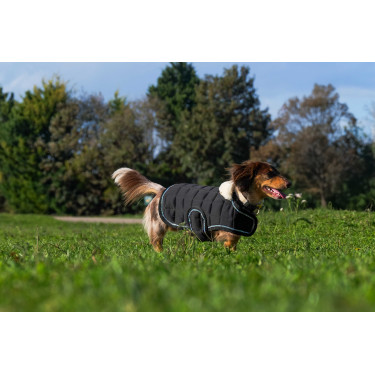 Couverture pour chien Je t'aime Equithème Couverture pour chien Je t'aime Equithème