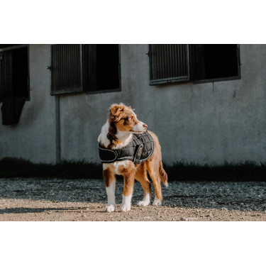 Couverture pour chien Je t'aime Equithème Couverture pour chien Je t'aime Equithème