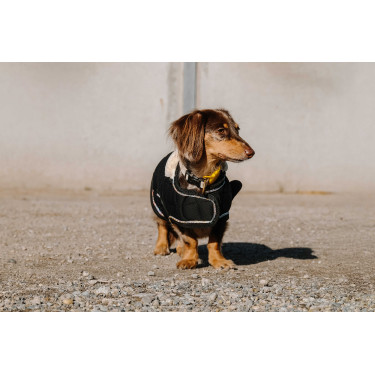 Couverture pour chien Je t'aime Equithème Couverture pour chien Je t'aime Equithème