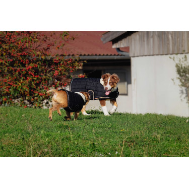 Couverture pour chien Je t'aime Equithème Couverture pour chien Je t'aime Equithème
