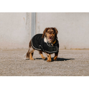 Couverture pour chien Je t'aime Equithème Couverture pour chien Je t'aime Equithème