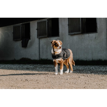 Couverture pour chien Je t'aime Equithème Couverture pour chien Je t'aime Equithème
