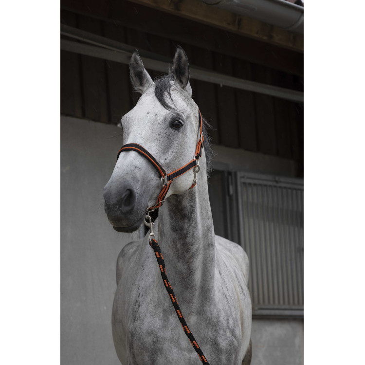 Licol + longe Equitheme Satiné Licol + longe Equitheme Satiné