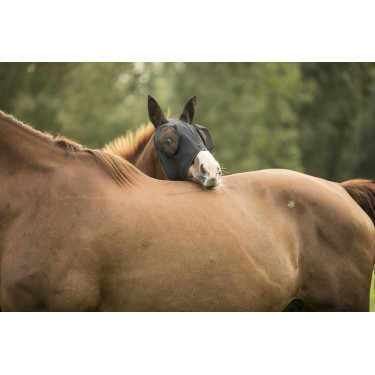 Masque anti-mouches Lami-Cell Lycra Masque anti-mouches Lami-Cell Lycra