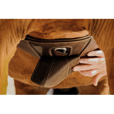 Sangle anatomique Magnet Norton Havane Marron Sangle anatomique Magnet Norton Havane Marron