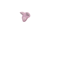 Bonnet anti-mouches pour jouet Mini Poney LeMieux Blossom Rose Bonnet anti-mouches pour jouet Mini Poney LeMieux Blossom Rose