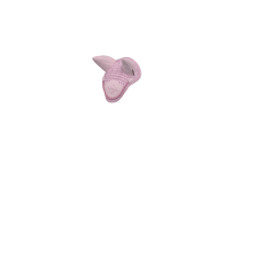 Bonnet anti-mouches pour jouet Mini Poney LeMieux Blossom Rose Bonnet anti-mouches pour jouet Mini Poney LeMieux Blossom Rose
