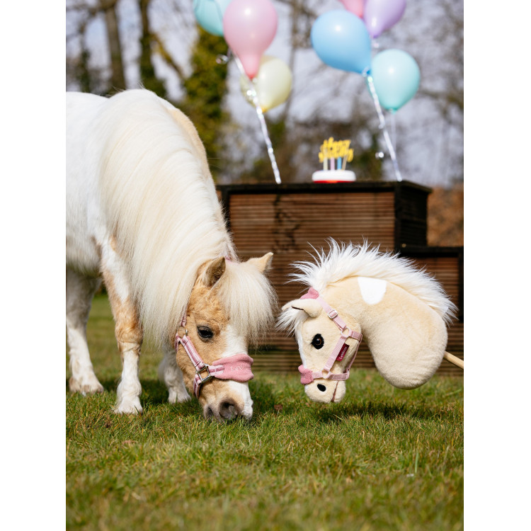 Hobby Horse Dream LeMieux Hobby Horse Dream LeMieux