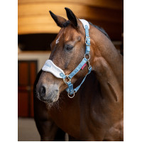 Licol et longe LeMieux Vogue Esme Bleu corn