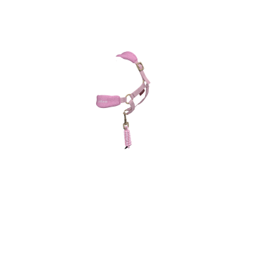 Licol vogue pour jouet Mini Poney LeMieux Blossom Rose